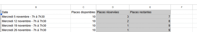 Tableau excel présentant la liste des sessions programmées, le nombre de places disponibles ainsi que le nombre réservé et restantes
